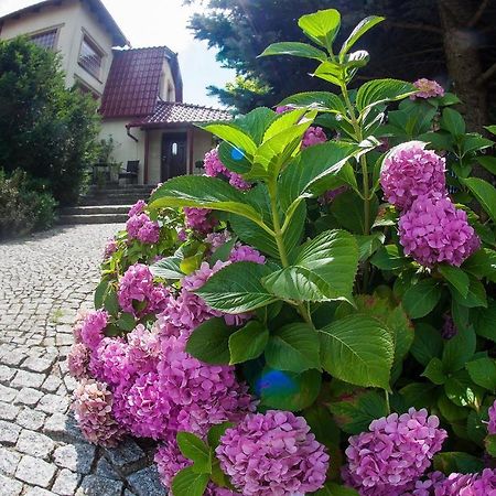 Villa Jasmin 지엘로나구라 외부 사진