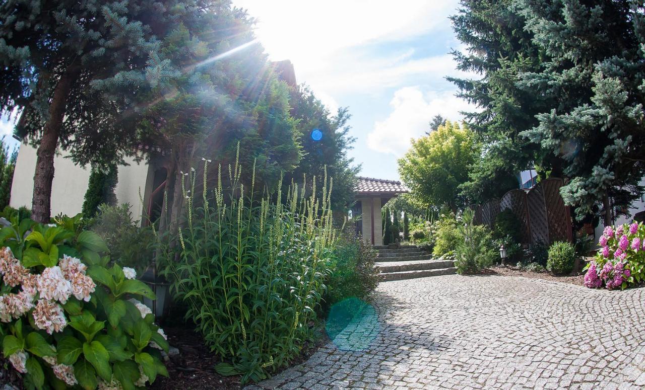 Villa Jasmin 지엘로나구라 외부 사진