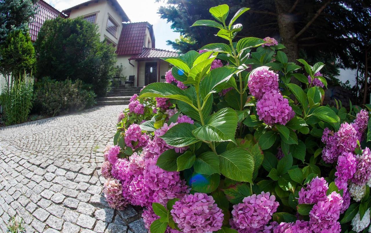Villa Jasmin 지엘로나구라 외부 사진